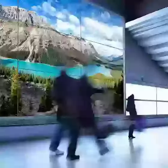 Samsung Video Walls